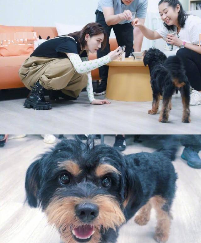 希望多点像女神这么富有爱心的人士.