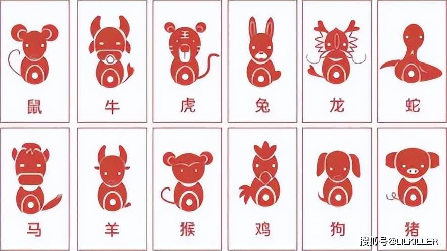 反反复复是什么生肖，全新揭晓答案