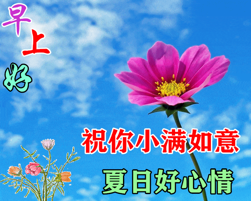 原创5月21日小满最漂亮清晨早上好动态表情祝福图片夏日早晨好动图美