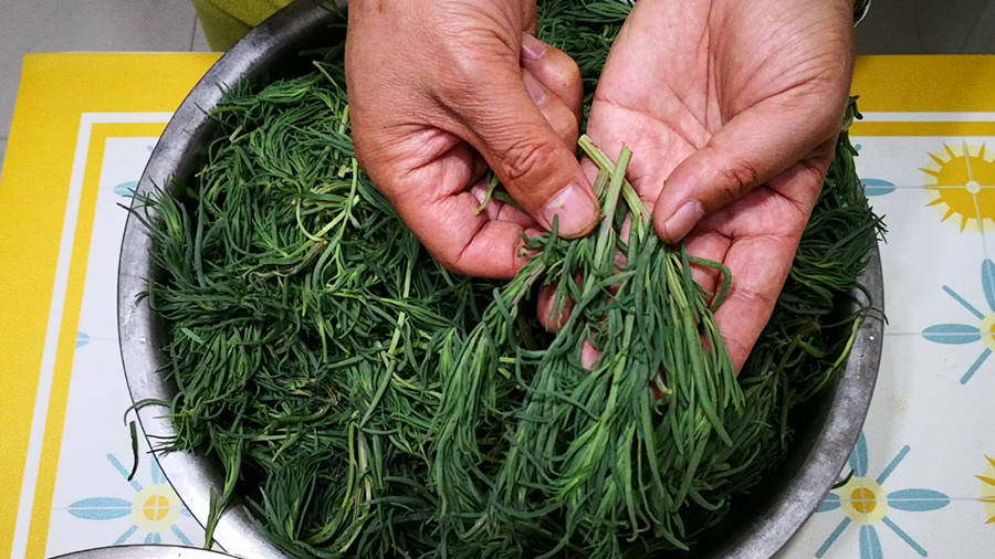 原创5月这菜金不换比荠菜嫩比韭菜鲜买它10斤存冰箱随吃随取特省事