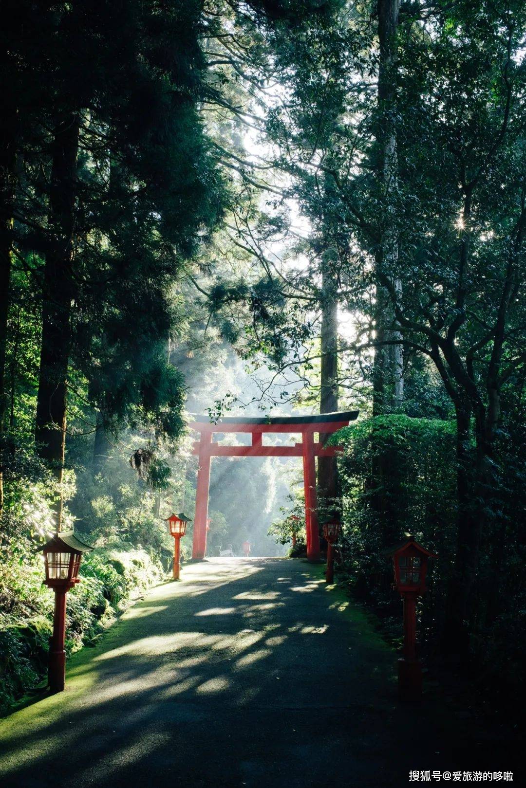 一步神域一步人間那些日本遍地都有的鳥居