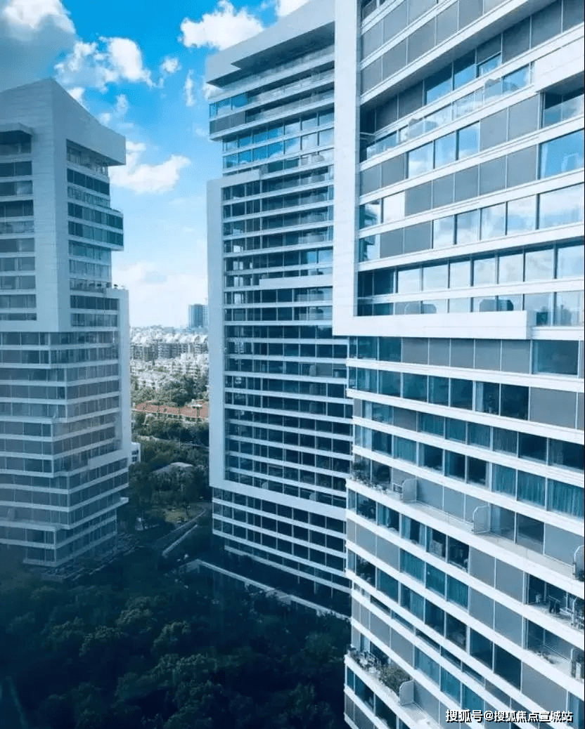 上海普陀中鹰黑森林欢迎您丨中鹰黑森林官方网站中鹰黑森林楼盘详情