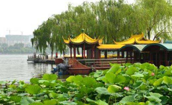 济南大明湖景区内百花盛开，这里的景致有多美？