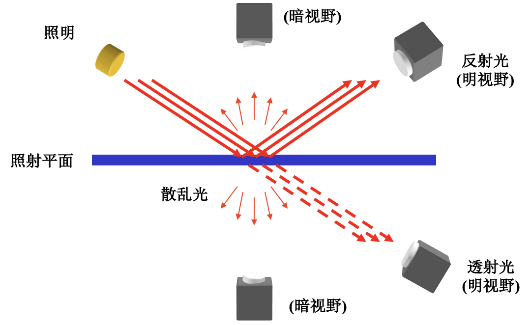 明带暗带简单图解图片