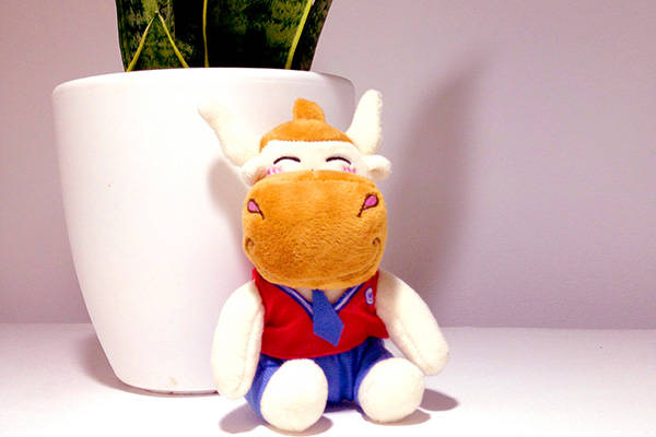 初级会计成绩查询入口_初级会计考试成绩查询方法_考试成绩单