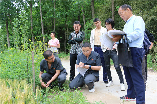 丁河法庭受理此案后,任超法官先后多次与双方沟通了解案情,得知双方