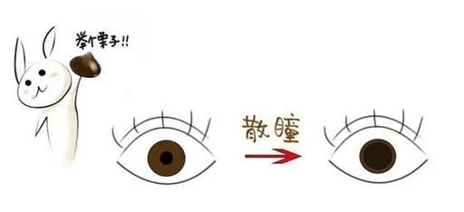 散瞳是什么 来自搜狐网