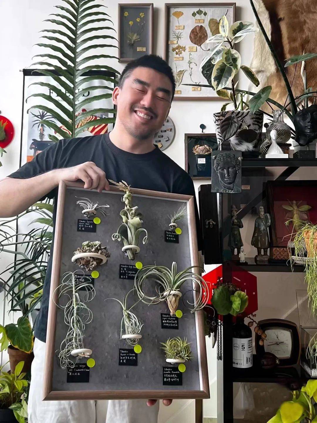 海妈花园拜访 | 4位绿植大神,宅家打造室内森林,足不出户感受自然_图克_植物_生活