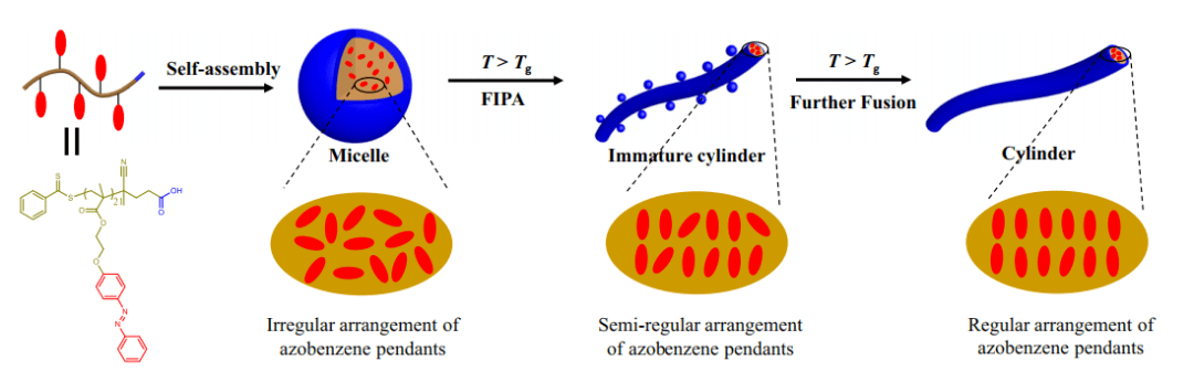 用于癌症诊疗宁夏大学联合同济大学实现棒状胶束活性横向生长