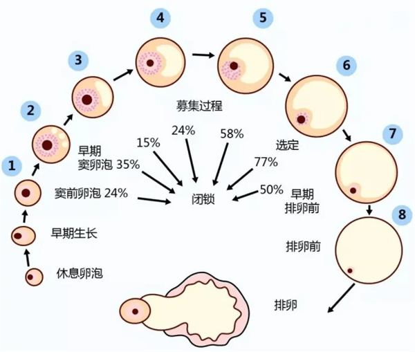 来自搜狐网