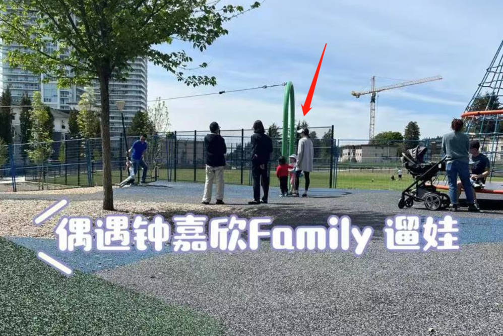 原创钟嘉欣挺三胎孕肚遛娃被赞人靓性格好与丈夫定居国外生活惬意