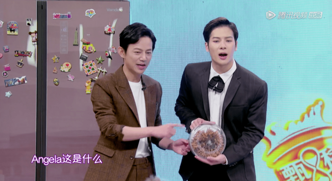 求求明星了,别来糟蹋我向往的生活了_张艺兴_苏芒_宋丹丹