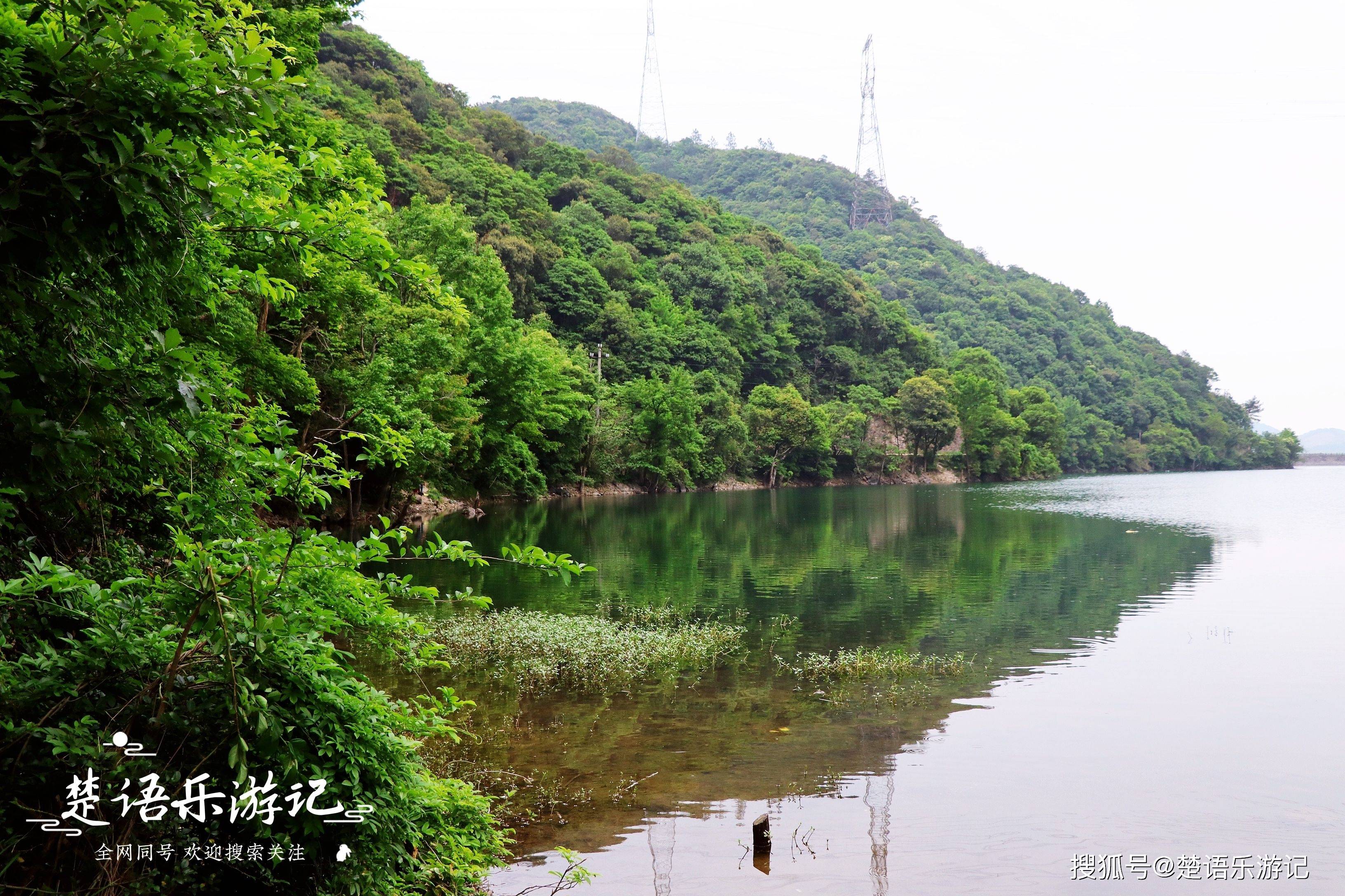 亲爱的读者朋友,你来过莼湖的九峰山水库吗?