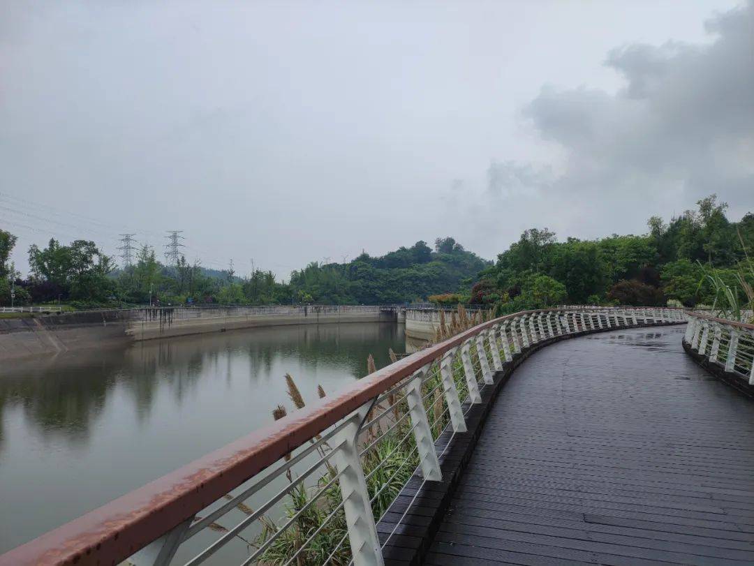天府新区的鹿溪河生态区还没红就秋了
