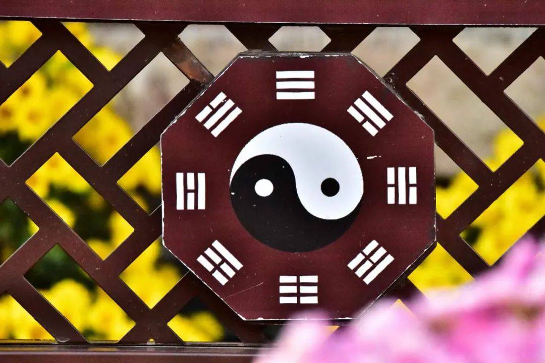 弘扬"伏羲文化",擦亮"道德名城" ,打造"魅力周口"_淮阳_中华民族_八卦