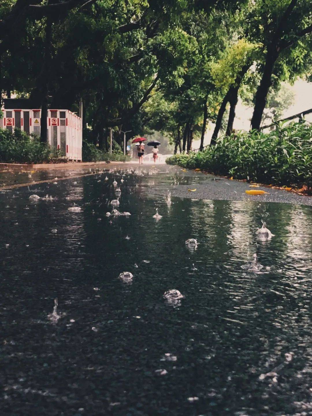 水沝淼17,下雨天通勤的福州人太难了!_棋牌_福建省博物院_雨水