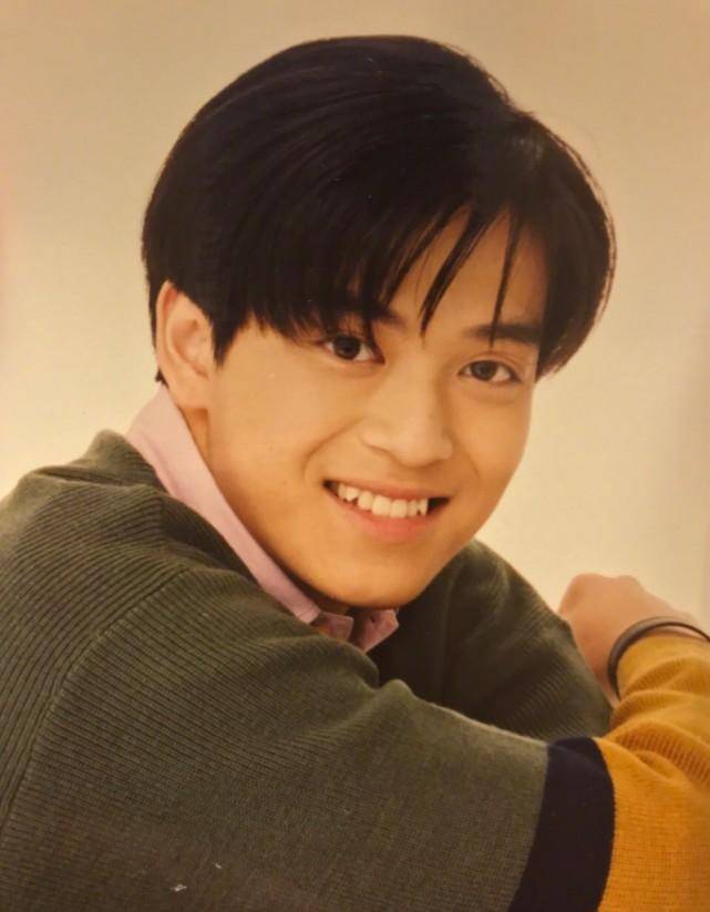 陈晓东:出道即巅峰,爆红期"插刀"小林青霞,成为娱乐圈边缘人士_戴思聪