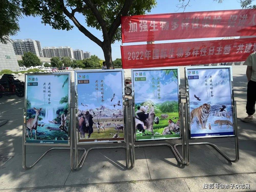 景縣開展522國際生物多樣性日宣傳活動