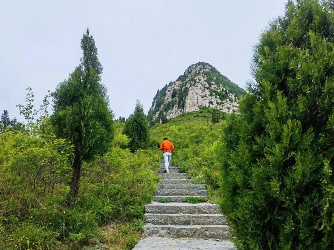 无门票，盘山自驾+休闲登山完美安排，济南小岱岳值得一去