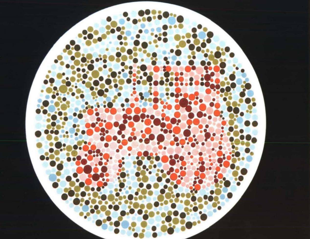 色觉测试图:第1张图,红色色盲看到的是牛,你看到的是什么?