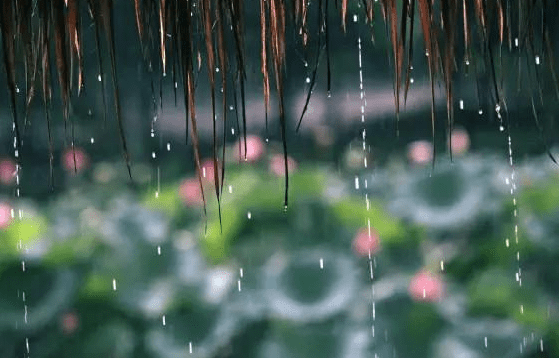 我国梅雨季节已全面开启 强对流天气频繁发