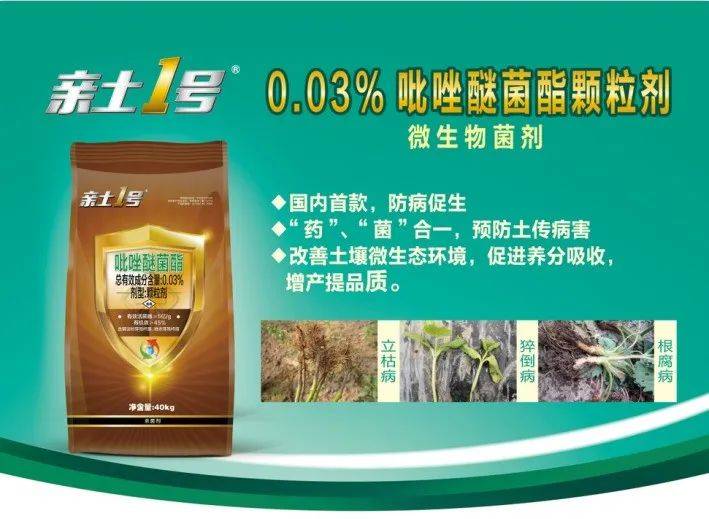 亲土1号农资秀亩增产1548斤亲土1号显奇功大蒜地里话神奇