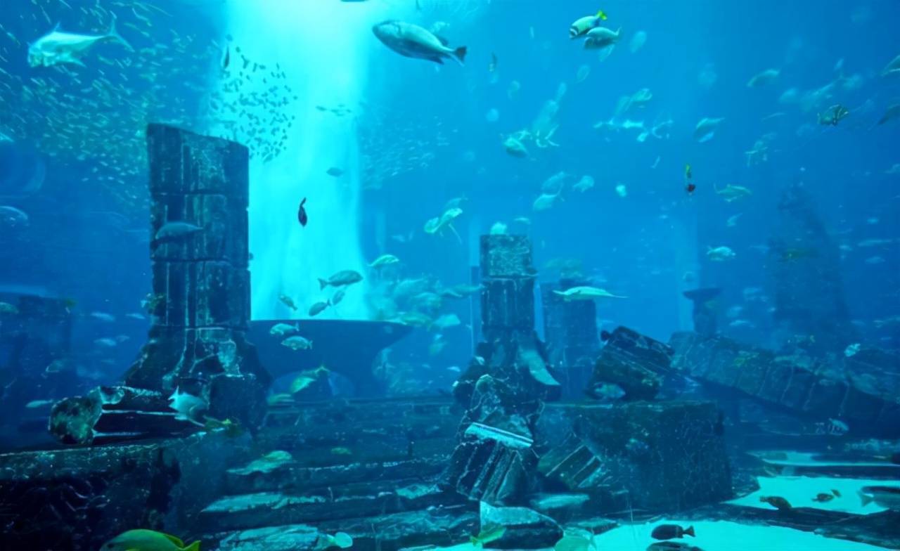 海底宫殿紫水图片
