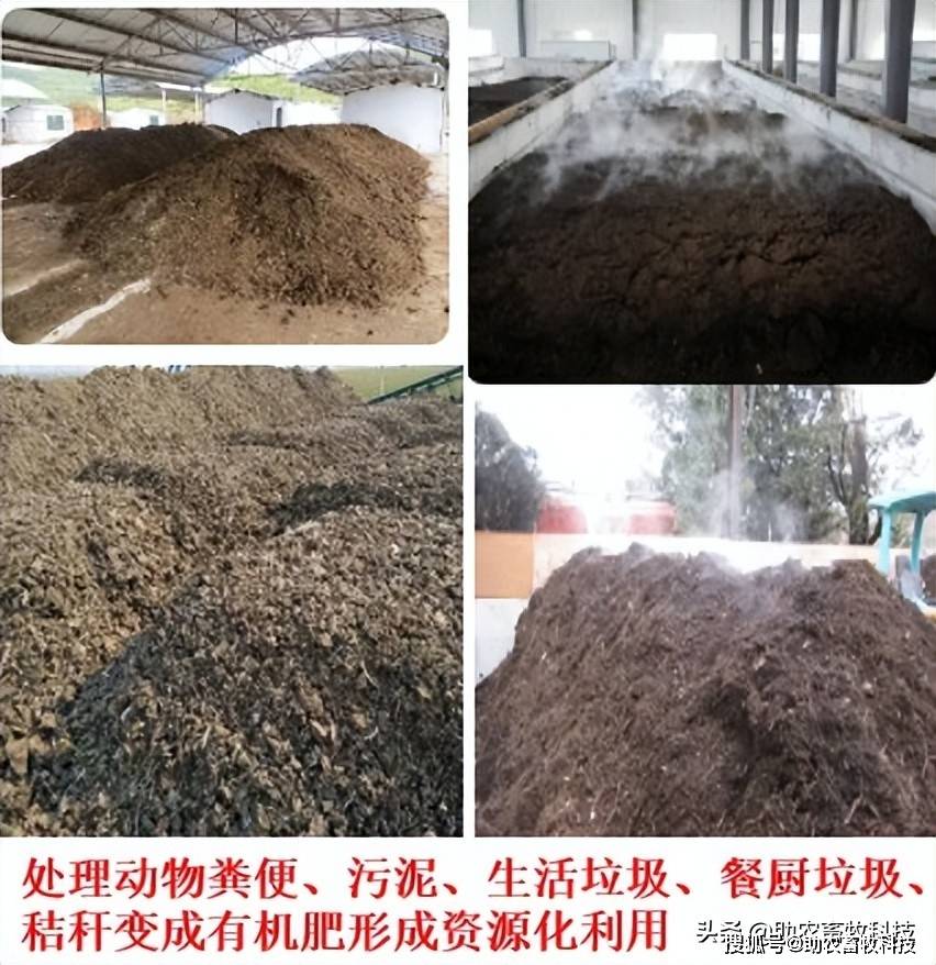 将动物粪便污泥生活垃圾餐厨垃圾等快速发酵成有机肥新技术