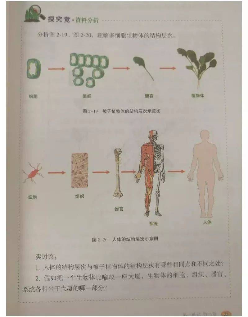 冀少版七年級上冊生物電子課本教材高清pdf版