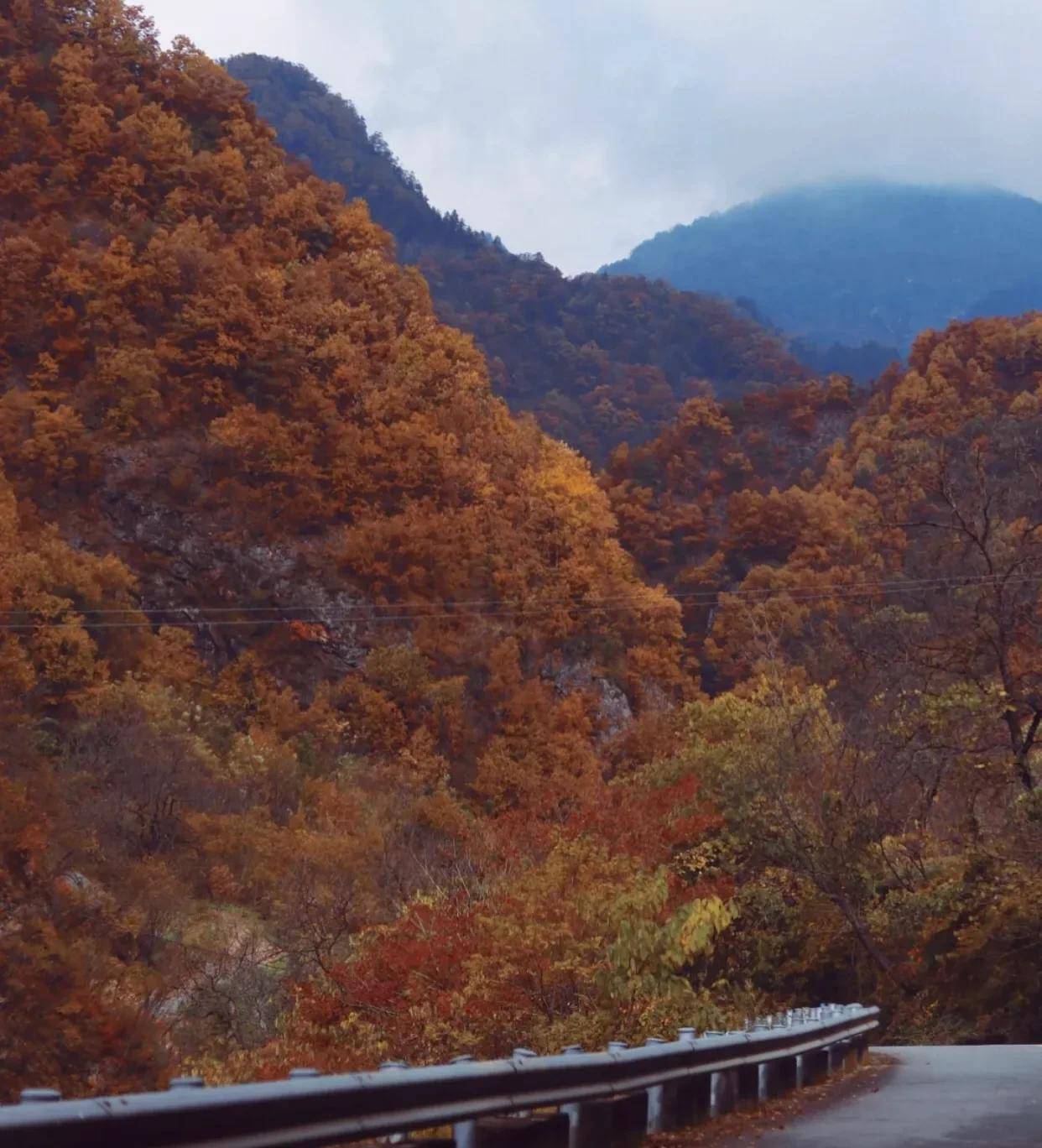 秦岭最美秋冬公路高江路