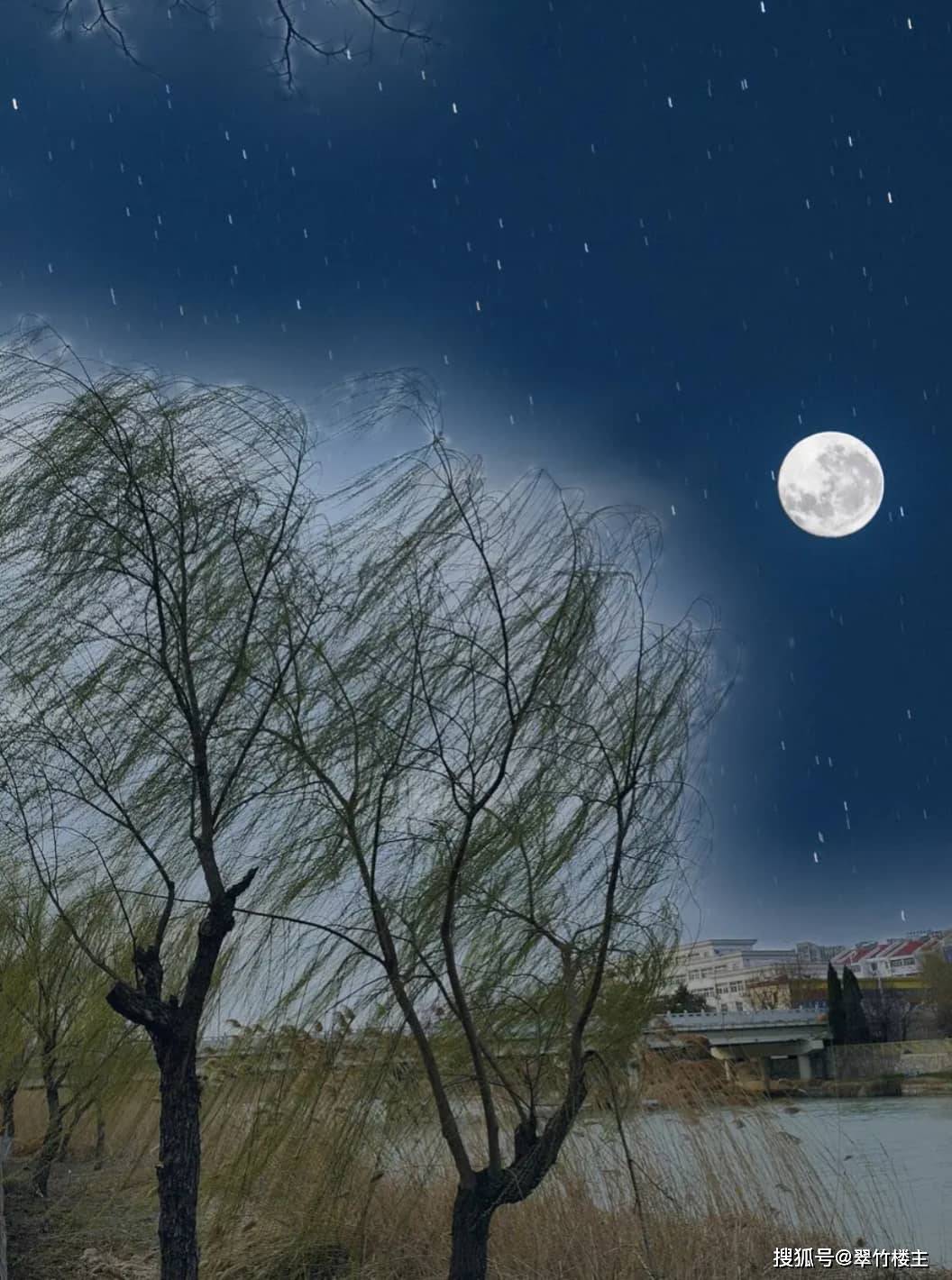 翠竹楼主原创诗第970首:七绝—夏夜情诗