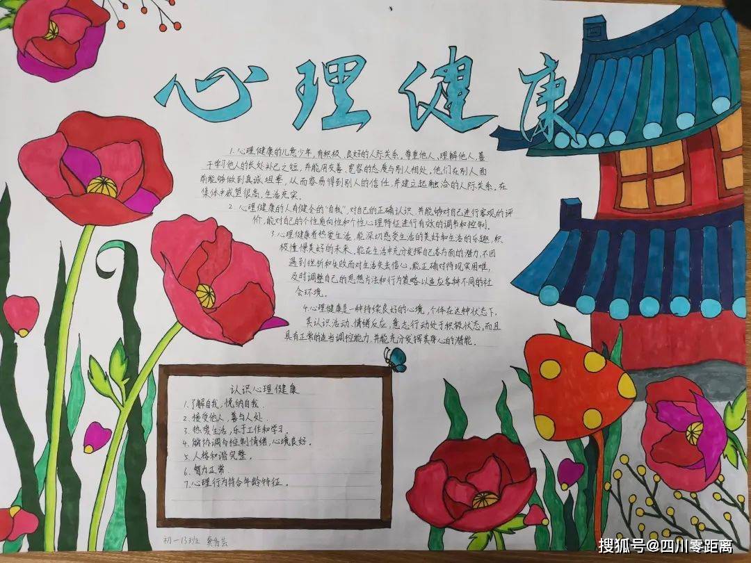 向阳而生,逐光而行:洪雅县田锡中学校开展心理健康宣传月活动