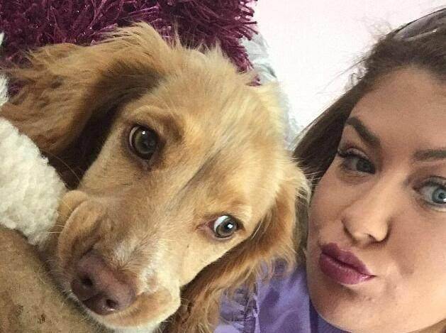 原创美国调皮小狗偷走主人情趣玩具院中兴奋啃咬惊呆女主人