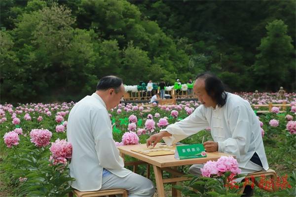 栾川县县长曲万涛图片