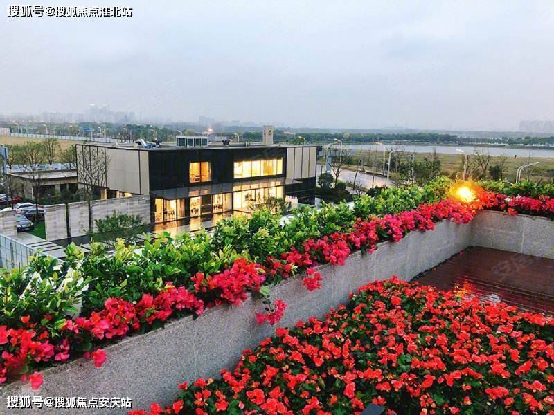 品牌地產物業類型: 普通住宅 別 墅入住時間:物業公司:蘇州九龍倉物業