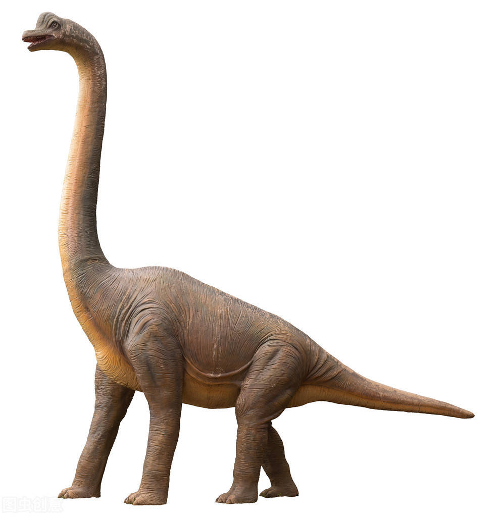 中生代的食草恐龙巨怪侏罗纪时代的霸主统治者