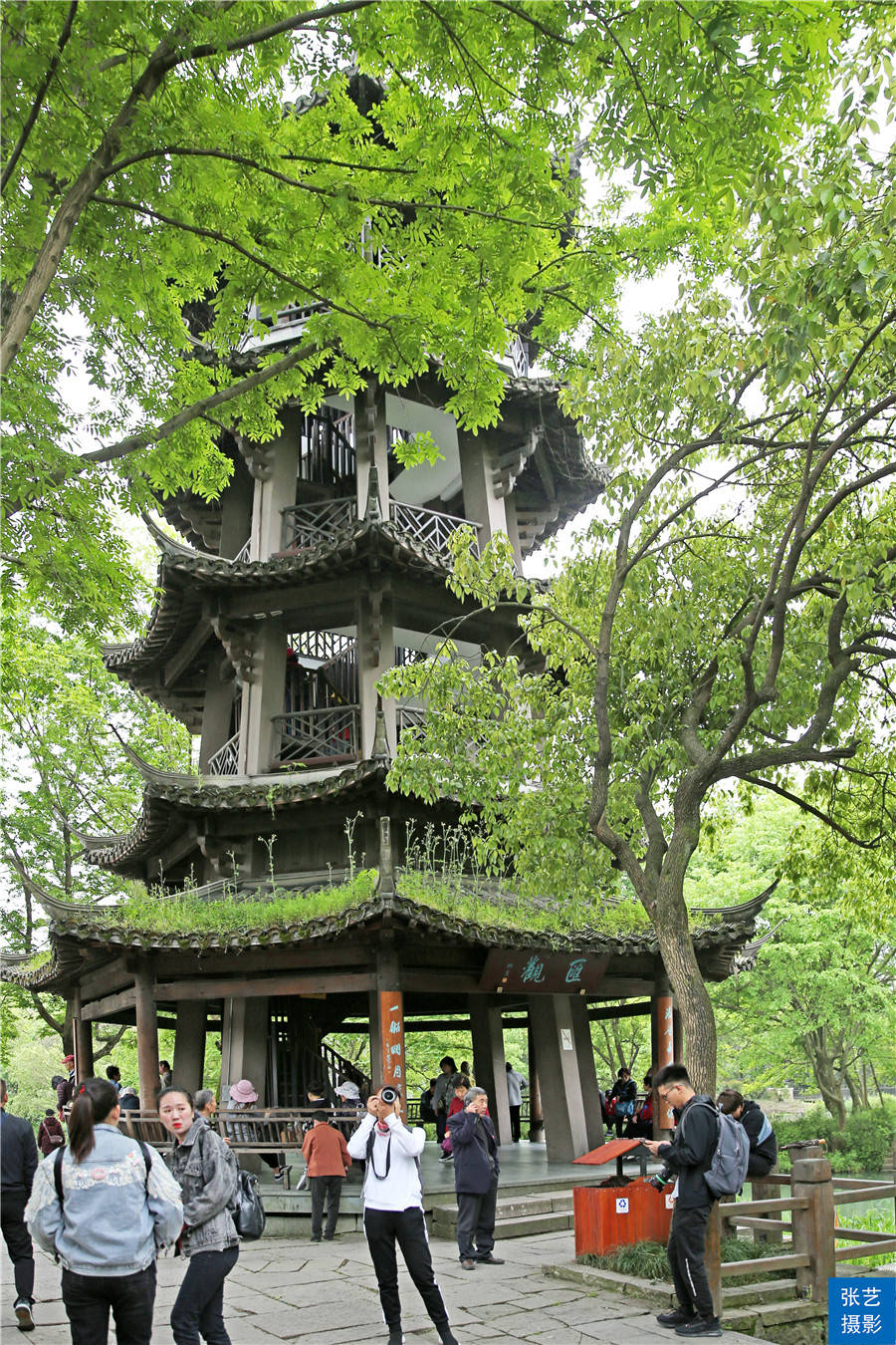 原创杭州西溪湿地留下天堂绿肺最美底色6月开启一段初夏之旅