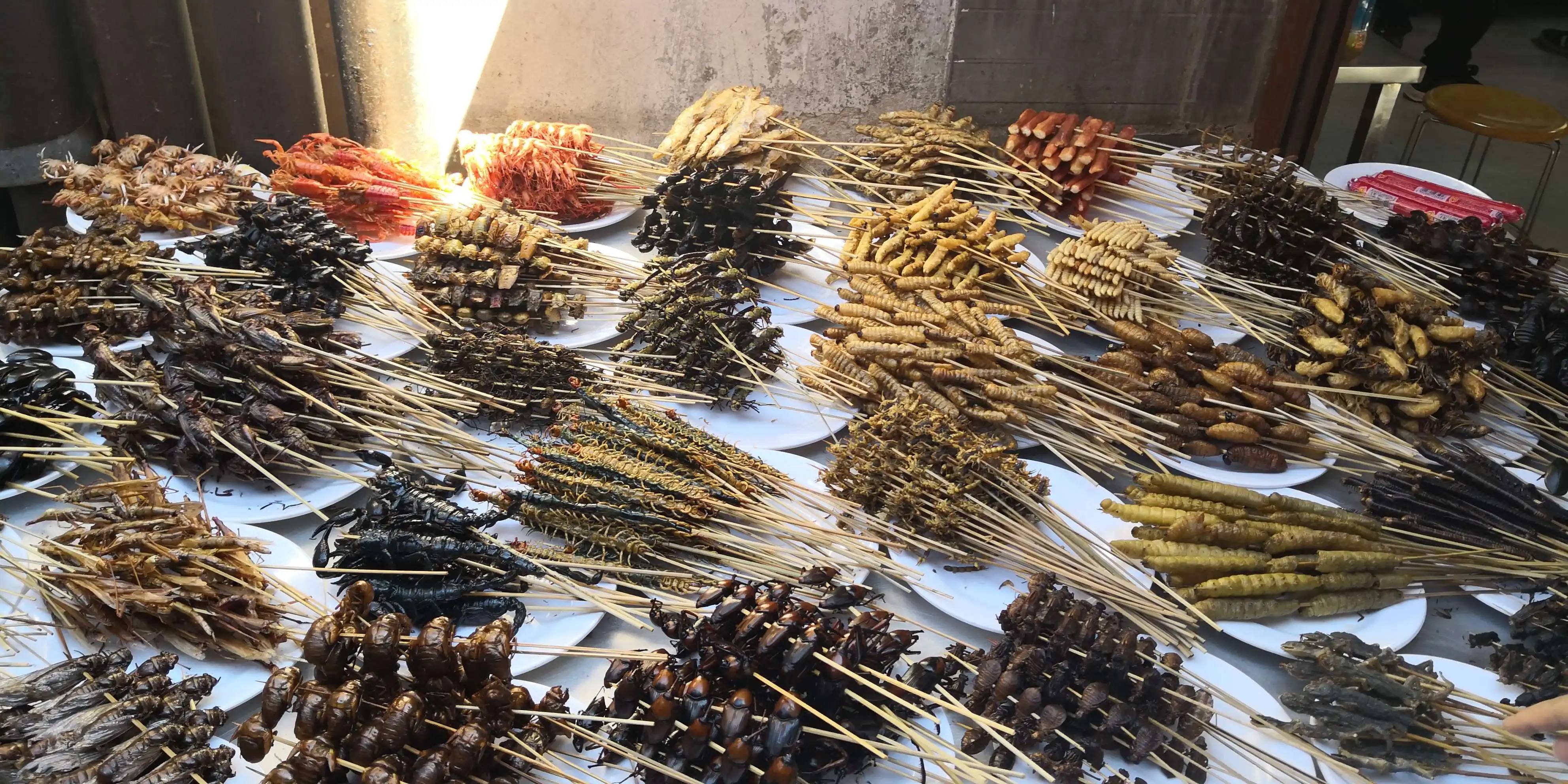Nordic Food Lab to serve insect snacks at first global conference on ...