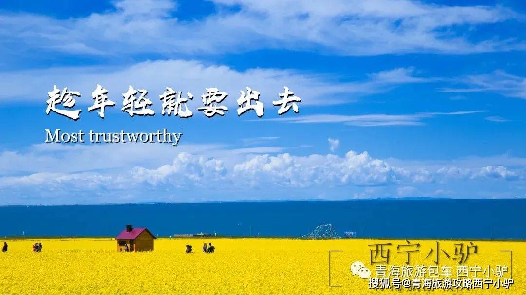 西北 游青甘大环线 去看中国最美的夏天 雪山 草甸 戈壁 七彩湖泊 旅游 大西北 青海