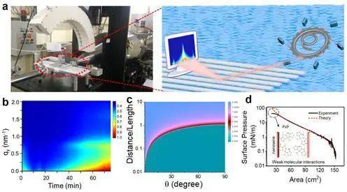 南科大在纳米线自组装原理、精准控制及组装体应用领域获新进展