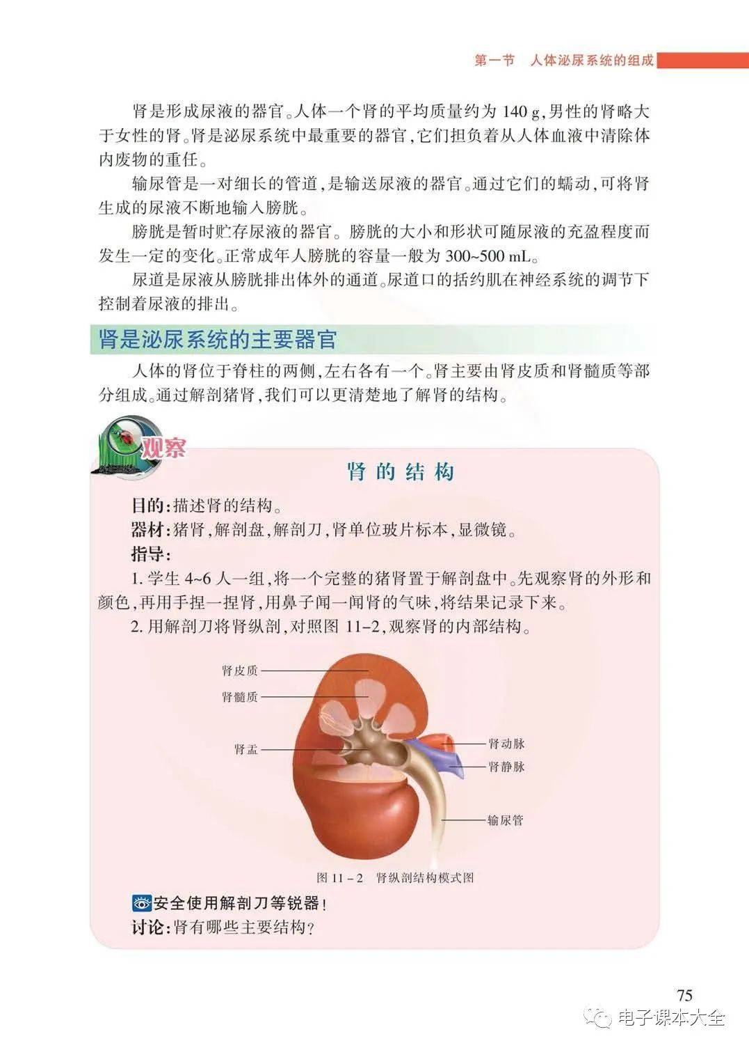 苏教版七年级下册生物电子课本教材