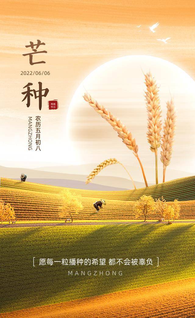 原创芒种图片配图唯美高清大全芒种祝福语朋友圈文案句子