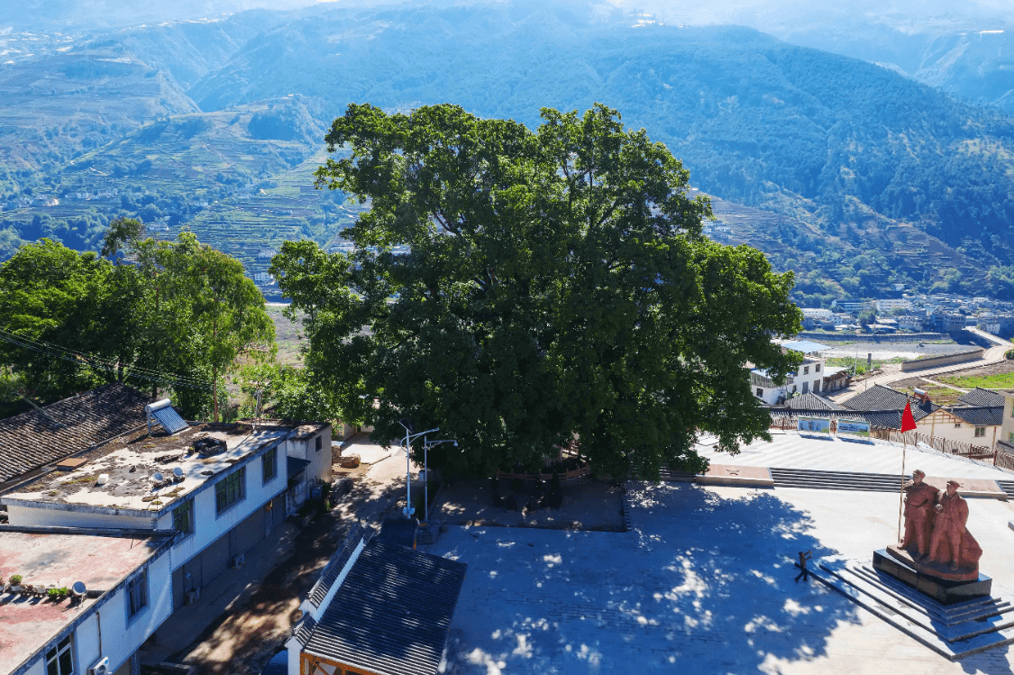 金阳,布拖,雷波和州北四县甘洛,越西,冕宁,喜德等地,都流传着红军长征