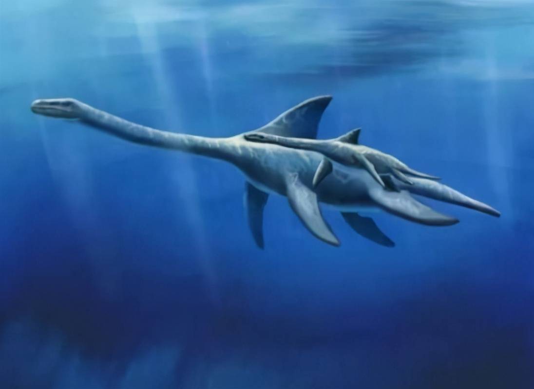 科学家发现一种奇怪生物:外形像海豚和鲨鱼的结合体_鱼龙_海洋_蛇颈