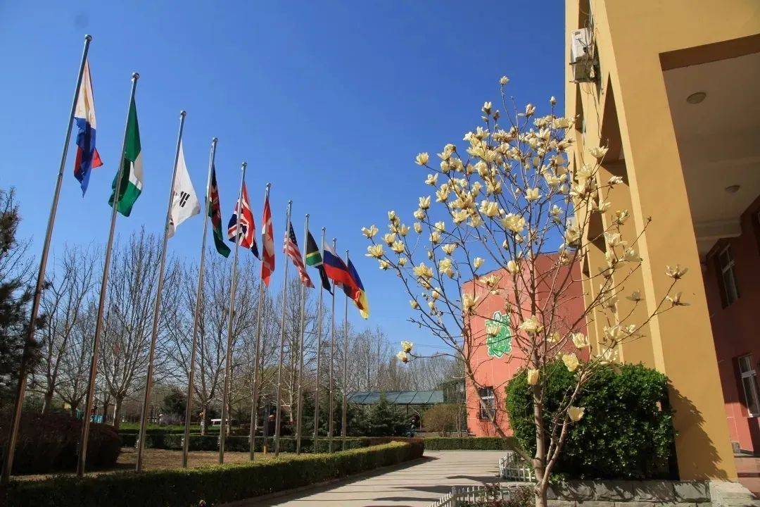 树人瑞贝学校探索全新教育模式定制属于你的未来