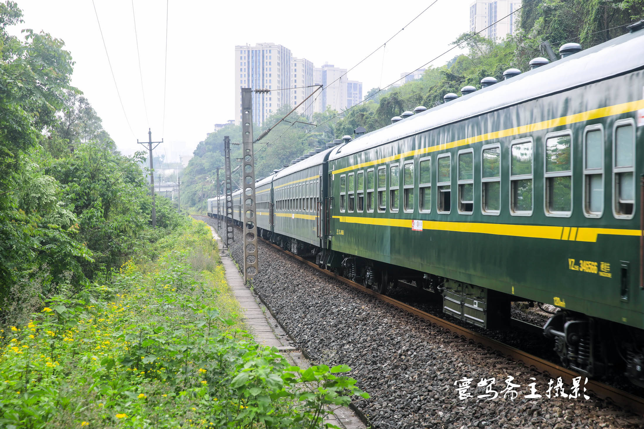 寻找重庆绿皮火车拍摄点之三,竹林湾,因为花海列车而闻名的地方_铁路