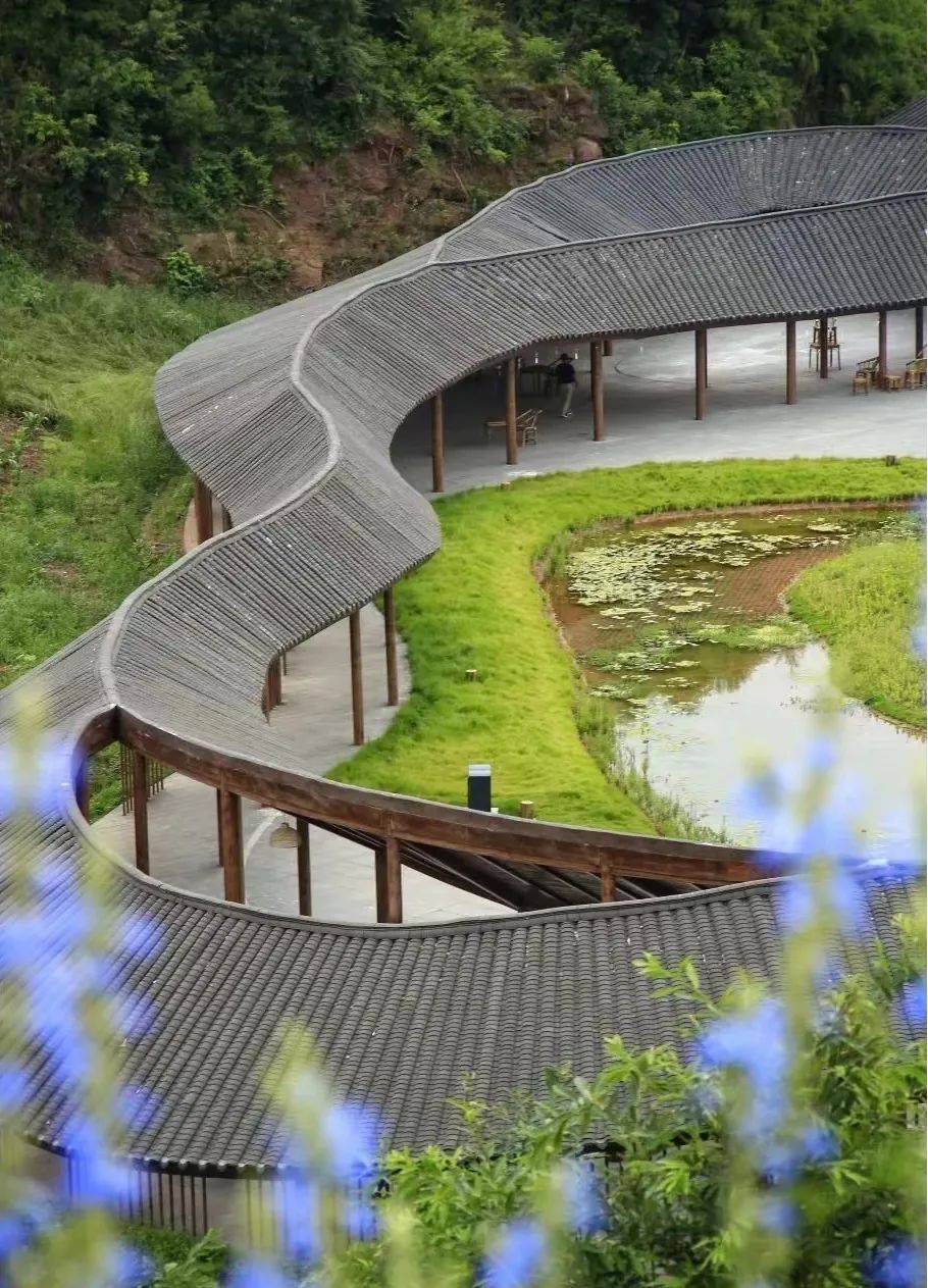 成都简阳的萌狮公园建好了,拍照打卡很不错!_文化村_石刻_天府