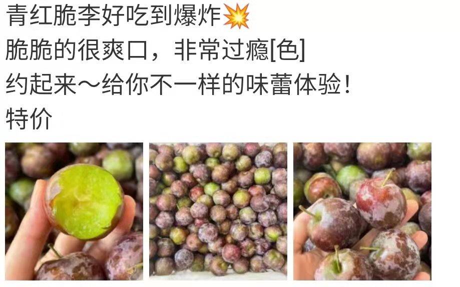 鲁班文案青红脆李水果宣传文案模版水果店文案青红脆李