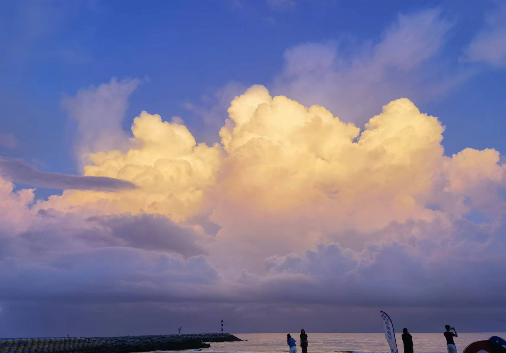 钟楚曦穿吊带裙小露香肩怀抱小狗洒脱大笑超元气