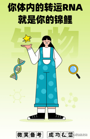 关注高考你适合发这样的高考朋友圈祝福每一个高考人山东眼镜批发